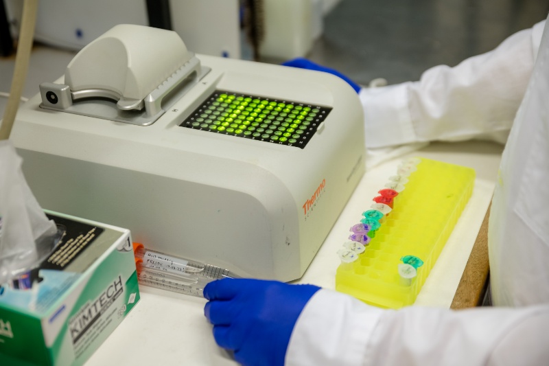 Genetica Molecular Humana