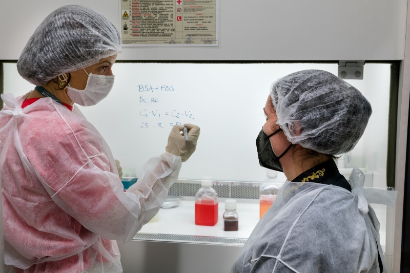 Genetica Molecular Humana