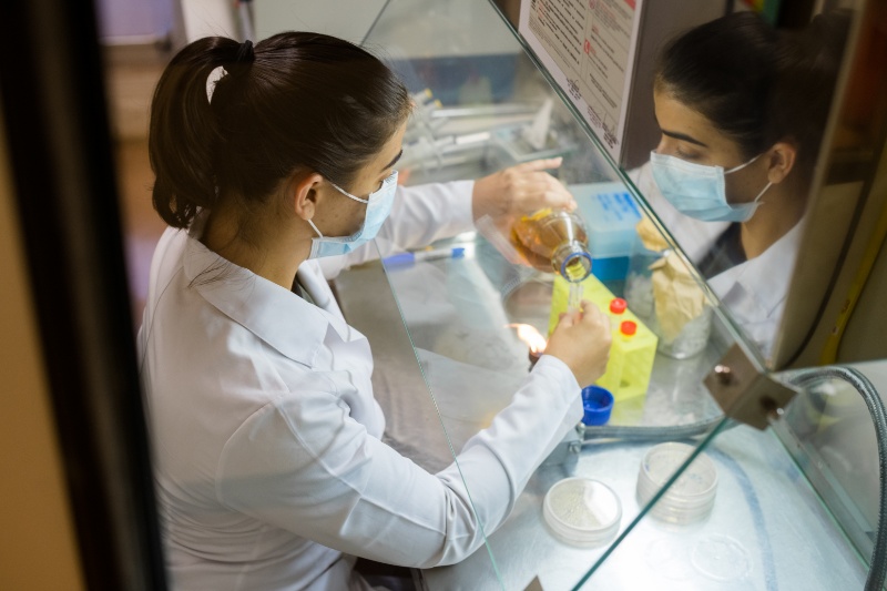 Genetica Molecular Humana