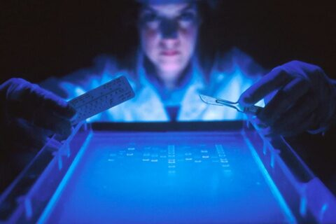 Lab-Analise-Genetica-e-Molecular