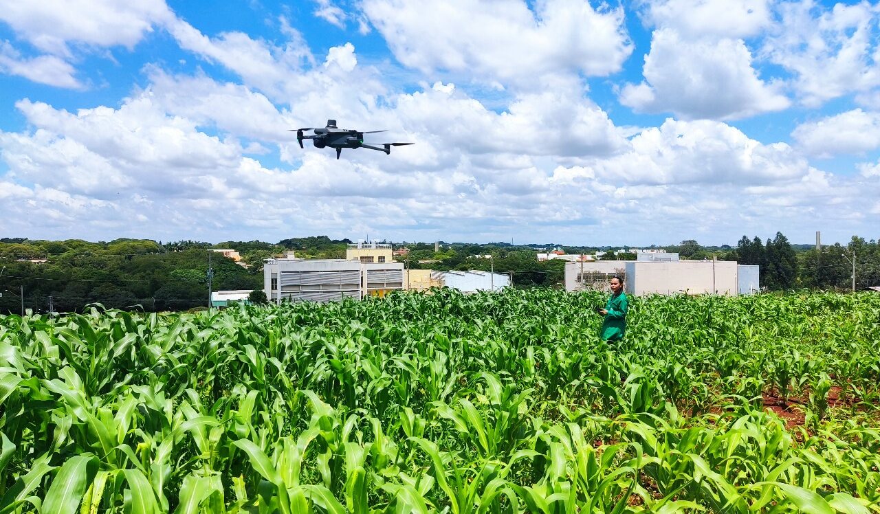 Pesquisadora pilotando drone