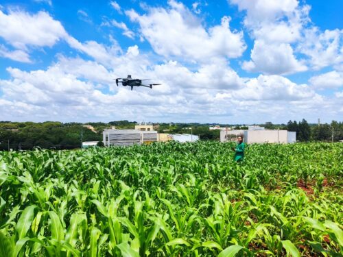 Pesquisadora pilotando drone