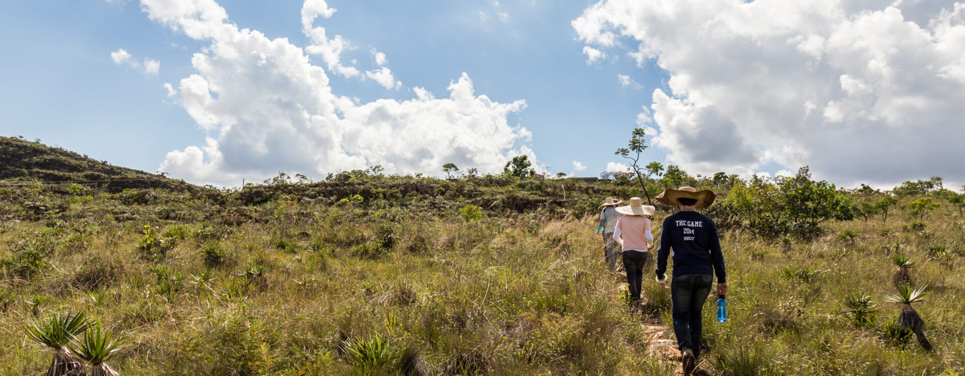 pesquisadores caminhando nos campos rupestres